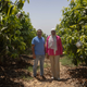 Rehim Salah and her husband Amer stand in their mango and citrus farm in the desert just outside of Egypt's Nile Delta.